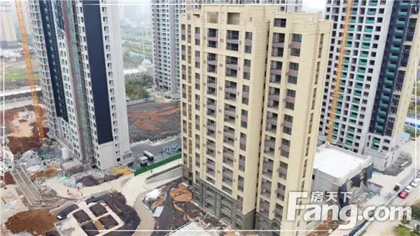 中环荣域悦棠|【三月家书】春启万物新生，家音美好敬呈