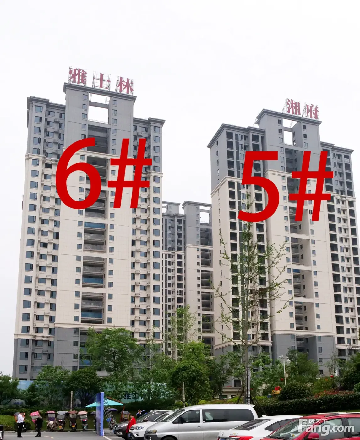 四月芳菲,幸福共鉴丨雅士林·湘府四月工程播报-耒阳新房网-房天下