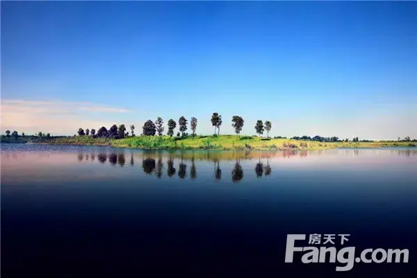 【东方今典·東方府】超乎想象丨万亩生态湿地，打造信阳“桃花源”