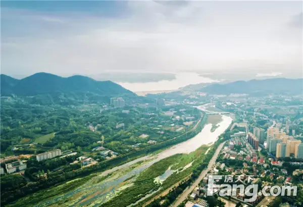 【南湾琨御府】小暑：微风掠过山河的画卷，带来一片清凉