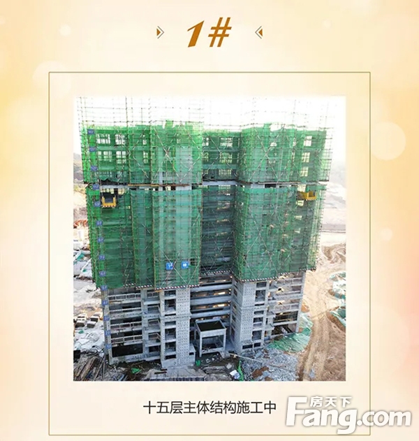 信合·春天里10月家书丨不负斑斓秋日，敬呈美好家音！