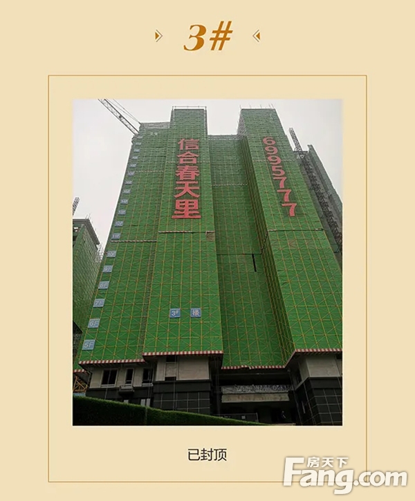 信合·春天里10月家书丨不负斑斓秋日，敬呈美好家音！