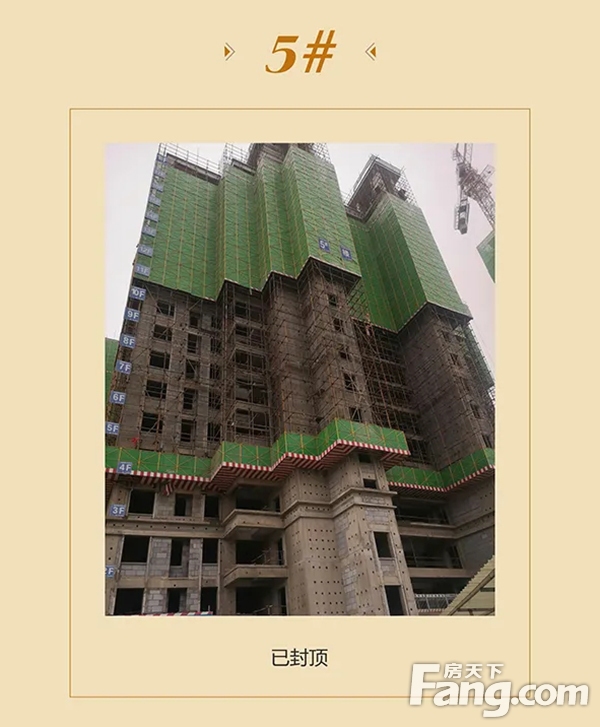 信合·春天里10月家书丨不负斑斓秋日，敬呈美好家音！