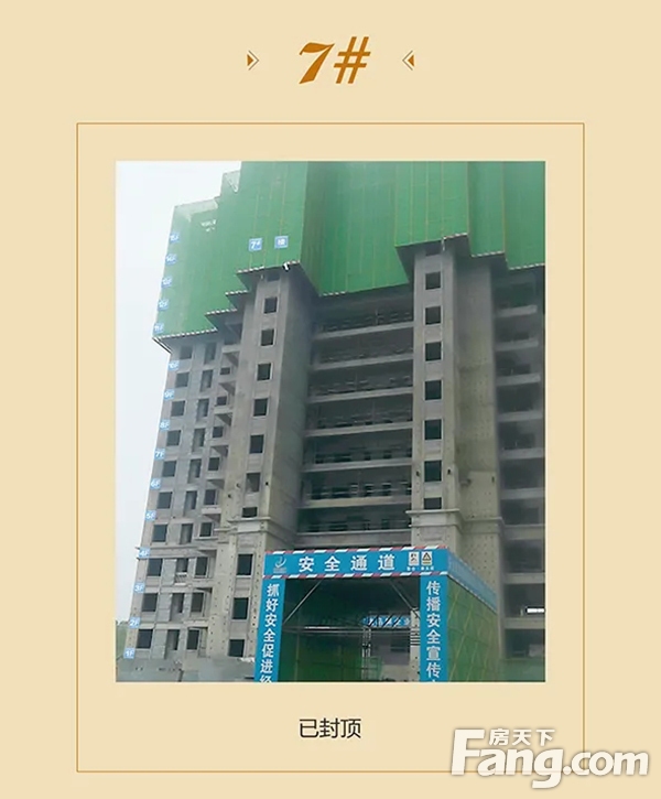 信合·春天里10月家书丨不负斑斓秋日，敬呈美好家音！