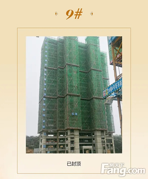 信合·春天里10月家书丨不负斑斓秋日，敬呈美好家音！