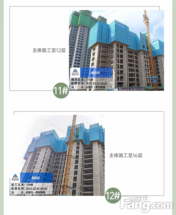 3月家书丨建业·信阳府，春暖花开时，美好阅家境！