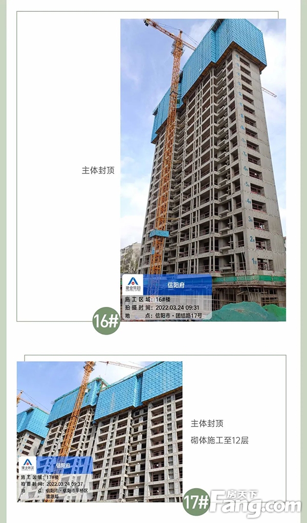 3月家书丨建业·信阳府，春暖花开时，美好阅家境！