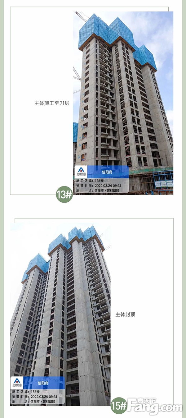 3月家书丨建业·信阳府，春暖花开时，美好阅家境！