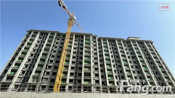 建业·南湖上院4月工程播报 | 芳菲四月，万物争春！