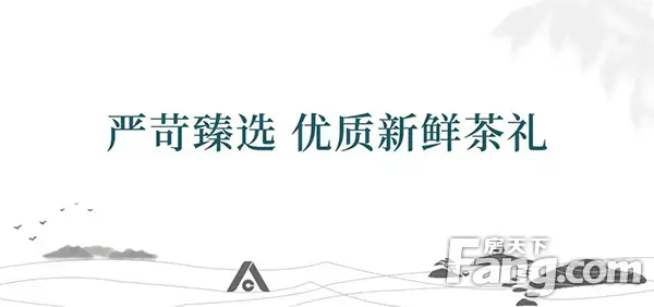 走过的路，皆是前路——信阳建业，新茶致老友