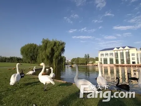 新出小独栋,精装修,全地上格局,5间卧室 书房,三代同堂