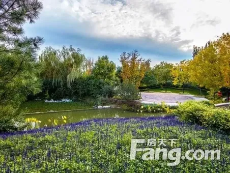 春节假期可约看,棕榈滩新出!750平花园,可随时交易,产权清晰