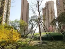 奥体中路 近地铁 精装修 有车位地下室