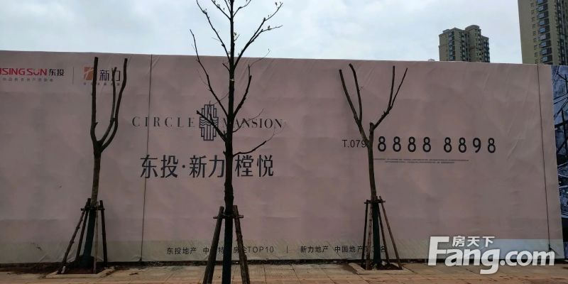 ��Ͷ����������������Ŀ���½�չ(��ͼ)