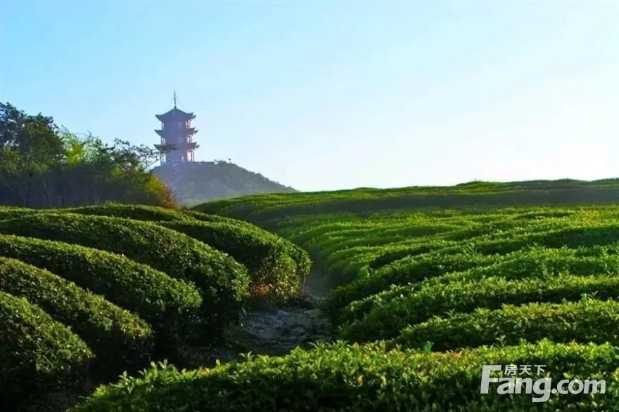 保利石象湖小镇