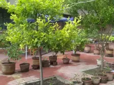 盐场堡大型社区,独门独户别墅,带个小院