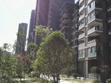 金鹏时代 2室2厅 南