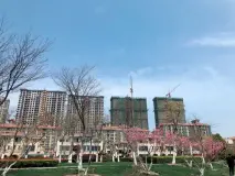 株洲香江悦湖春天图片