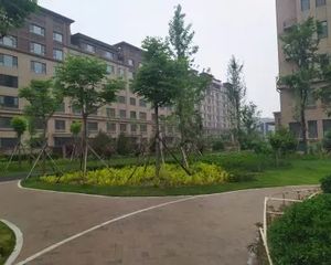 文华书院 电梯洋房 好楼层 大三室两卫 带车位地下室