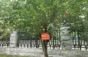 红盾小区实景图