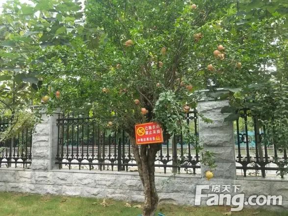 红盾小区实景图