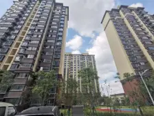 近地铁,毛坯电梯房,无抵押,必看好房