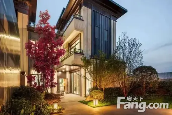 协信天奉合府视频讲房