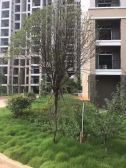 【梅花雅庭】| 浏阳市淮川梅花小区农贸市场综合楼房产一处(实勘浏阳市淮川梅花小区4栋四单元407室)