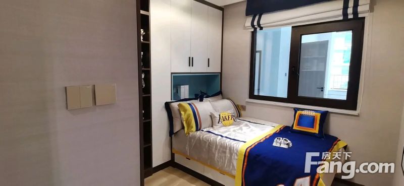 �о�����������