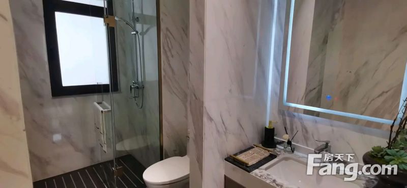 �о�����������