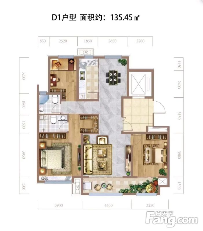 �о�����������