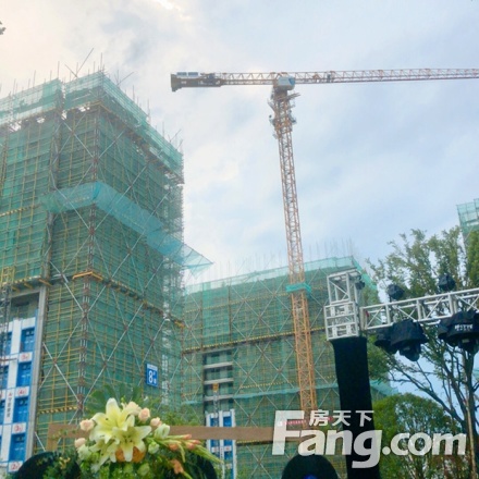 绿城金茂·凤悦印湖实景图