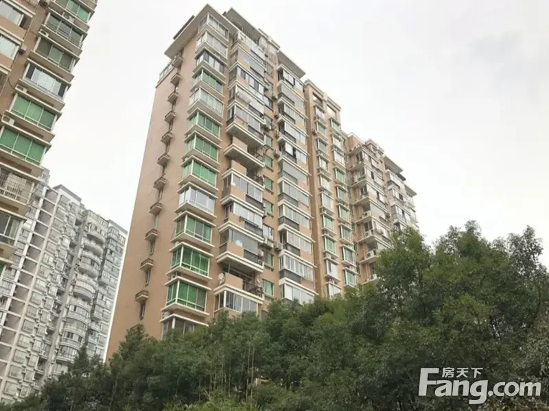 实景图