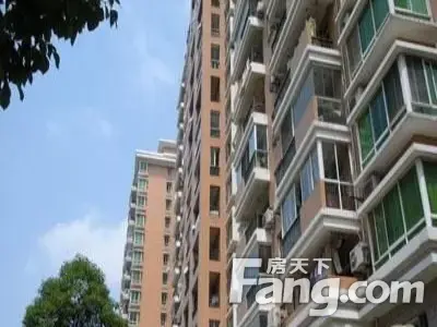 实景图
