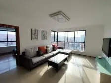 捡漏 市政供暖96平加96平 单层三室两厅一卫 精装修