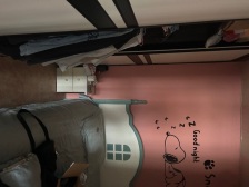 红树东方3室2厅1卫南北朝向44.00万元出售