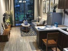 碧桂园中央首府2室2厅1卫南朝向125.00万元出售