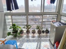 豪景苑2室1厅1卫南朝向45.00万元出售