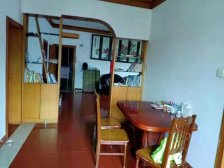 白鹿新村3室2厅2卫北朝向47.50万元出售