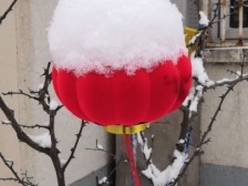 龙聚山庄7室2厅5卫南北朝向530.00万元出售