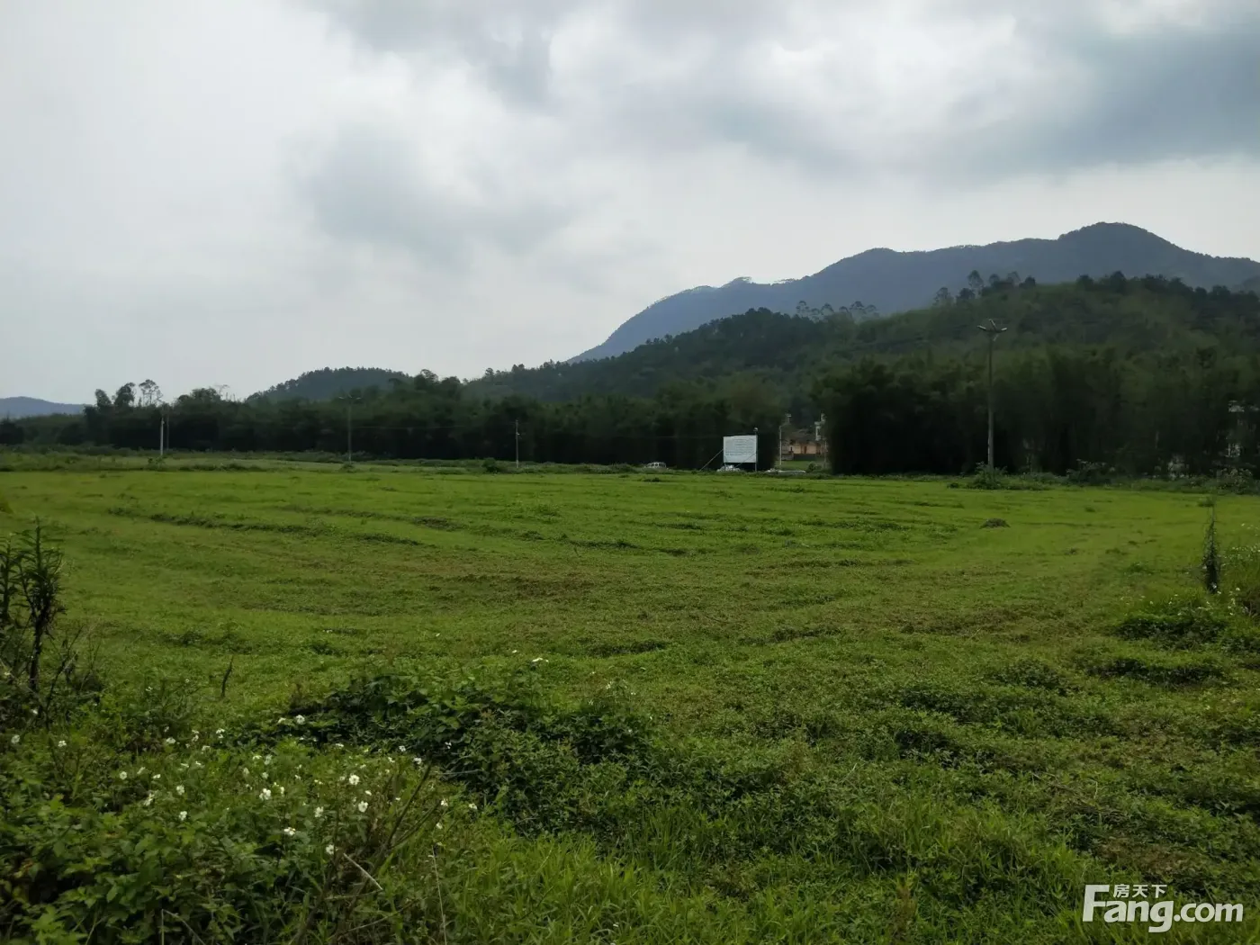 转让肇庆四会市203亩优质农业种植基地