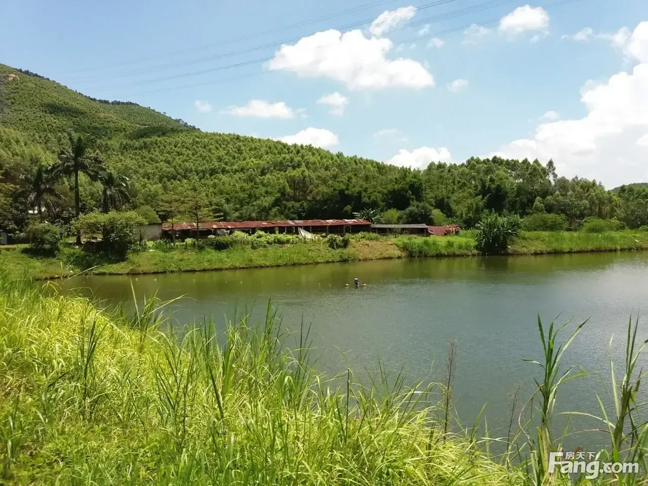 转让佛山高明区68亩生态休闲度假农场