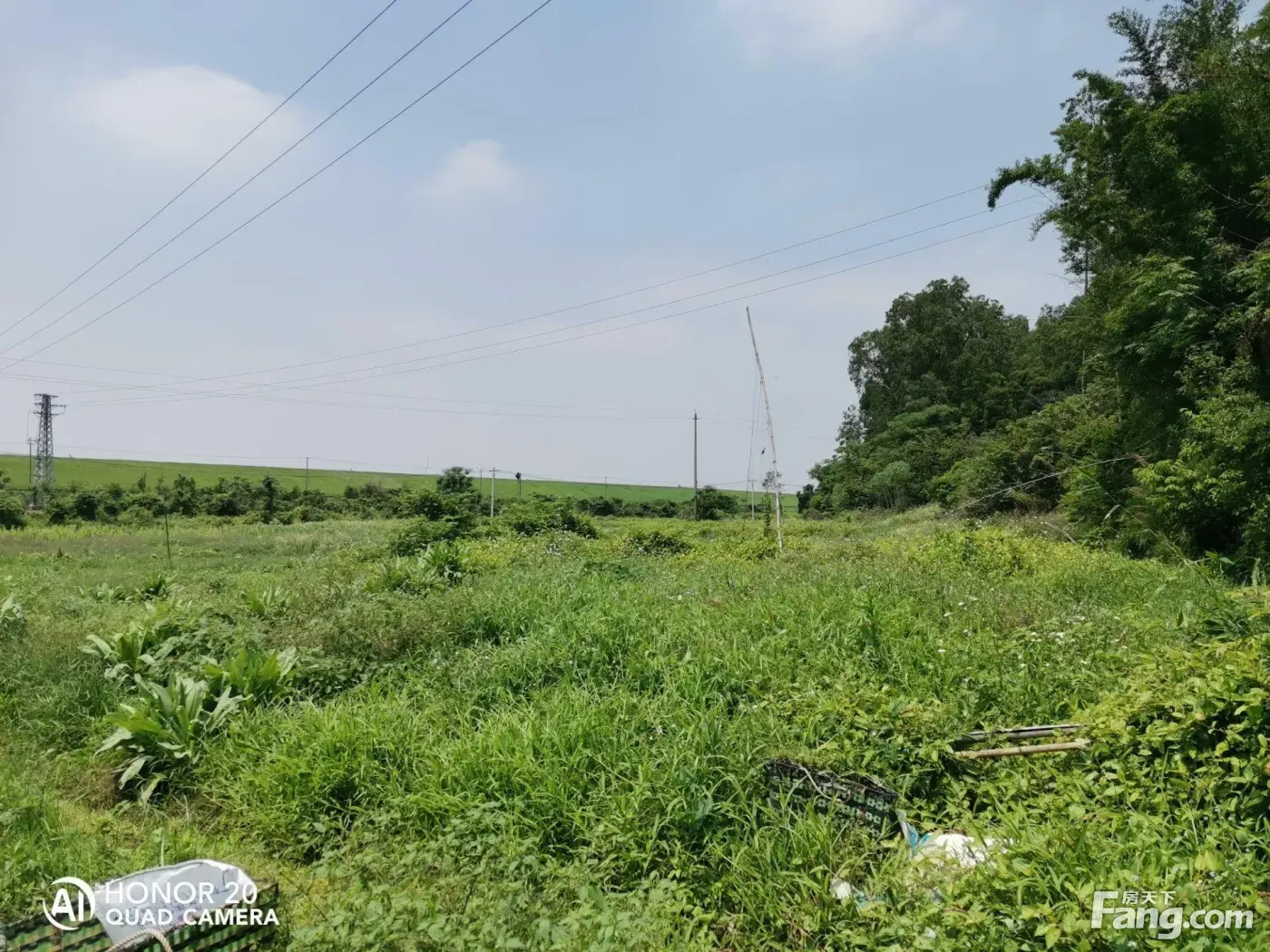 出租佛山市南海区15亩种植菜地耕地