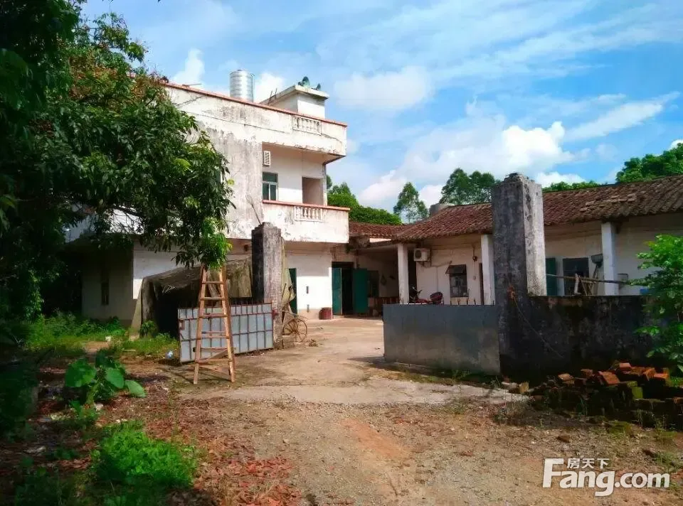 转让广州市增城区300亩休闲果园农场