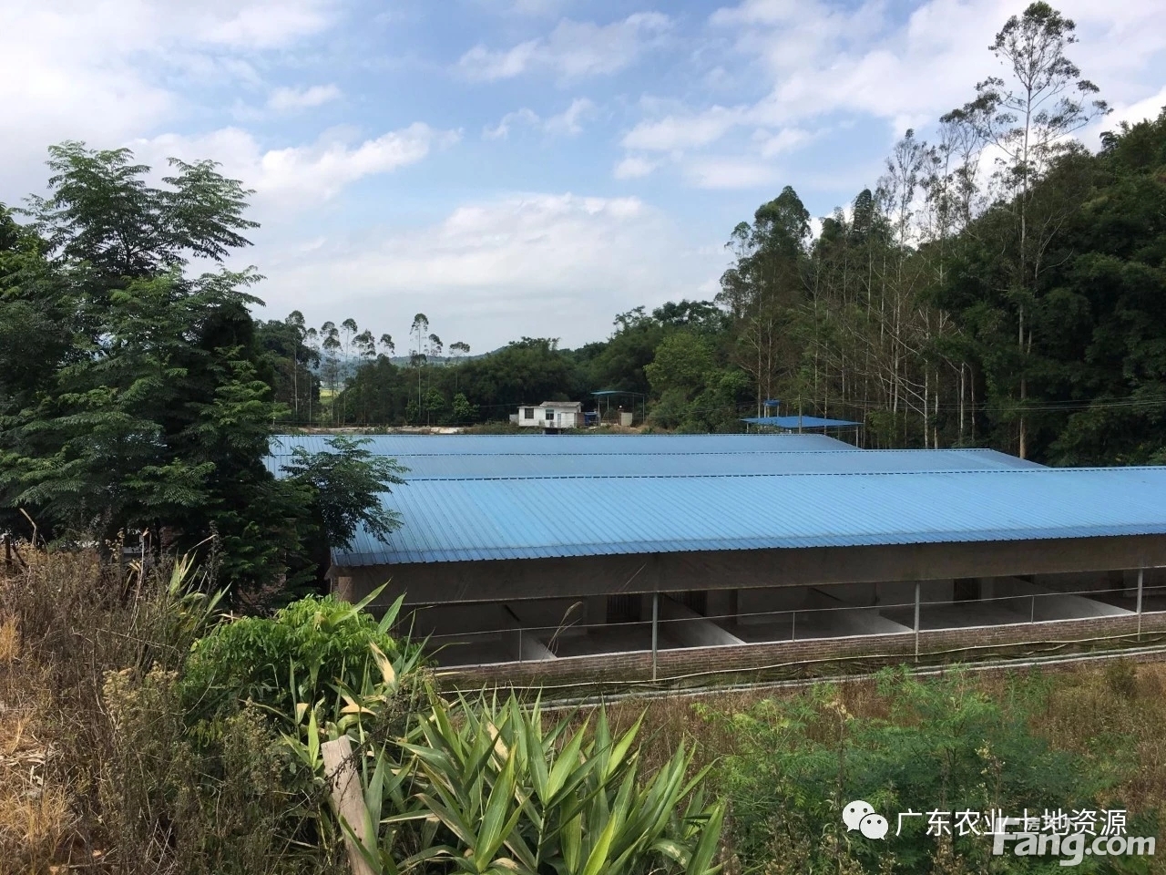 养殖基地转让 养殖基地转让合同案件管辖